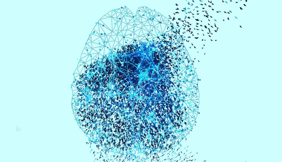AI Psychology and Neuroscience